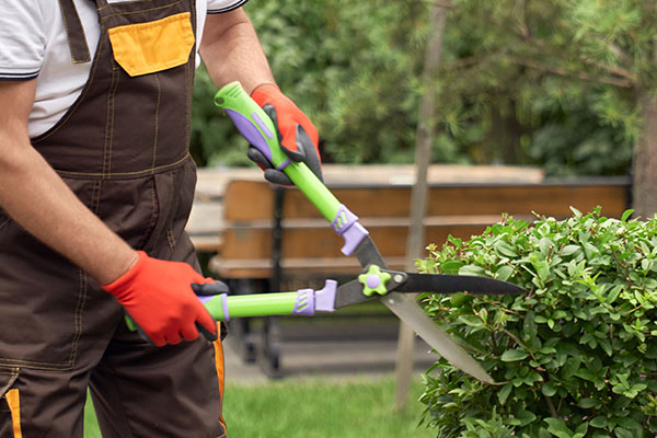 galabau_gartenpflege Lorn GmbH - Garten- und Grünflächenpflege
